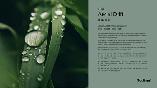 Aerial Drift | 微風漫遊