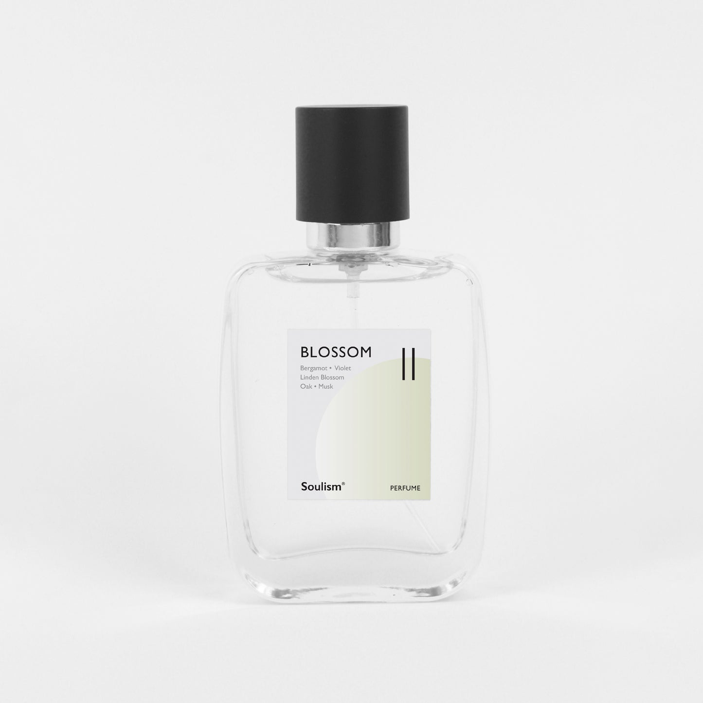 Blossom II | 花調 II