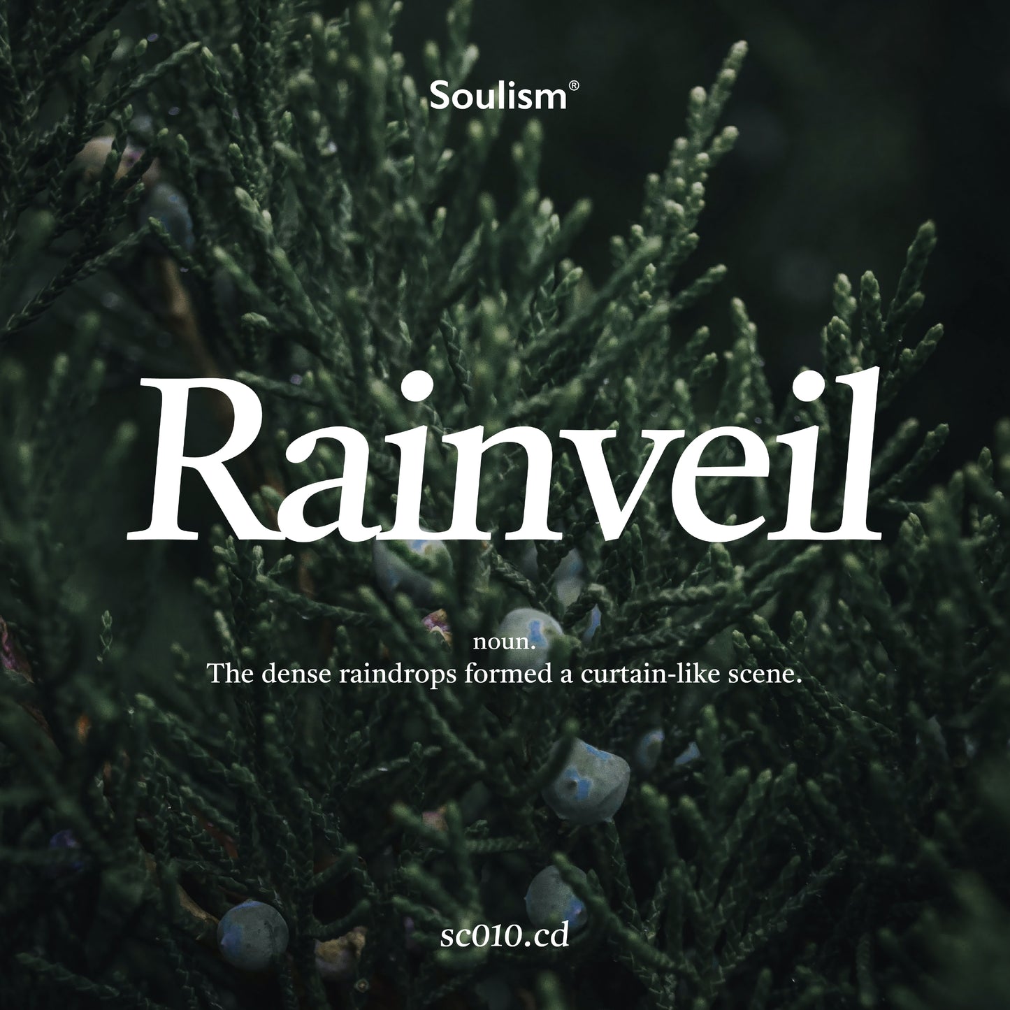 Rainveil 雨幕