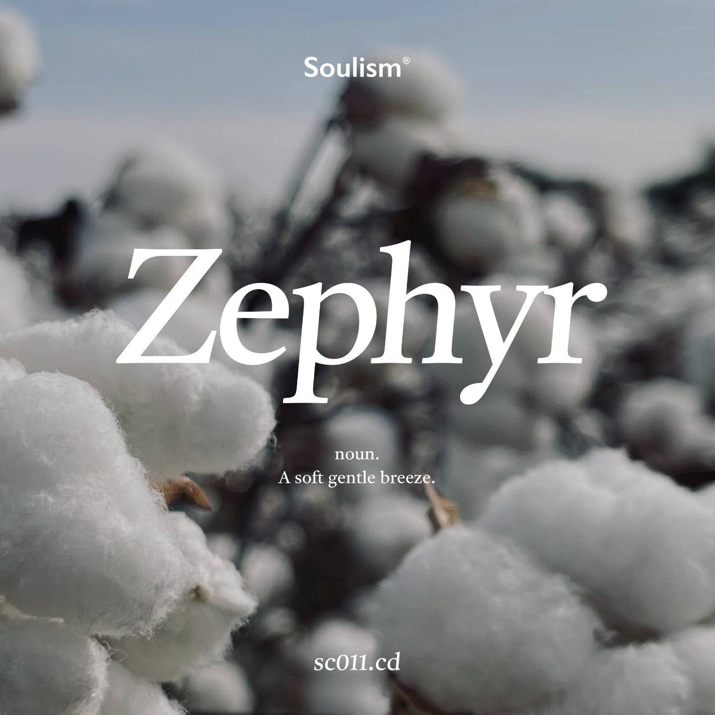 Zepyhr 春風