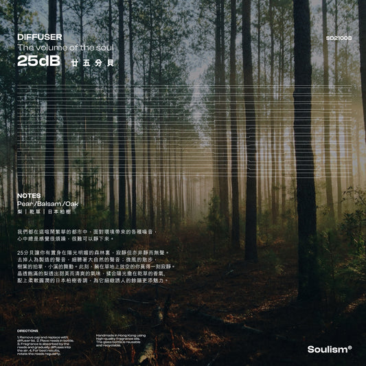 25 dB | 廿五分貝